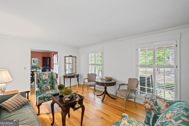 681 Hampton Pl SW, Marietta, GA 30064 - living room featuring crown molding and light wood-style floors