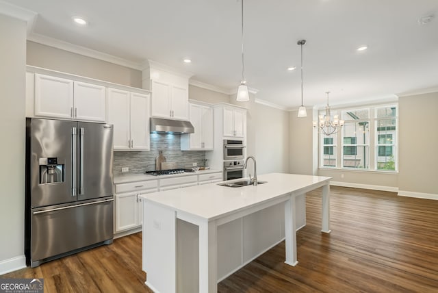 kitchen featuring appliances with stainless steel finishes, a sink, an island with sink, backsplash, and under cabinet range hood
