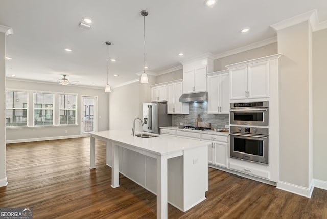 kitchen featuring a kitchen island with sink, under cabinet range hood, tasteful backsplash, a sink, and appliances with stainless steel finishes