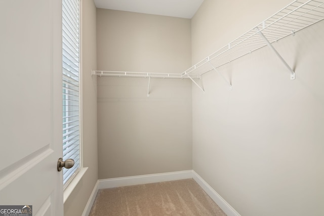 spacious closet with light carpet