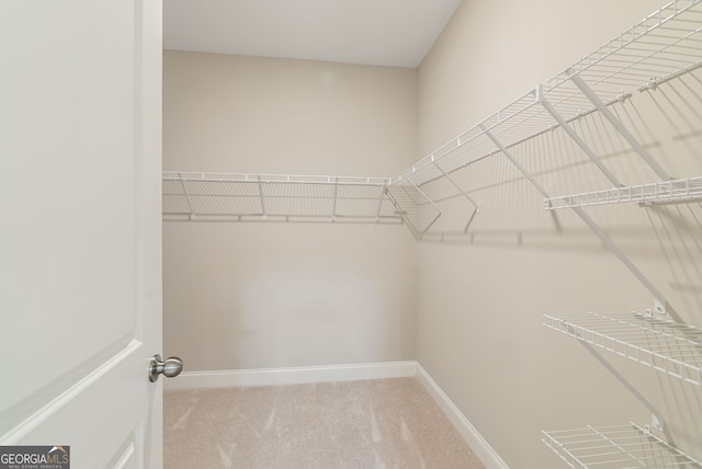 walk in closet featuring carpet flooring