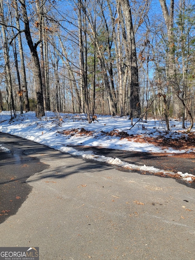 156 Brett Rd, Cleveland, GA 30528 - view of road