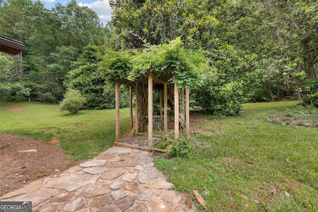 966 Wahoo Creek Rd, Murrayville, GA 30564 - view of yard