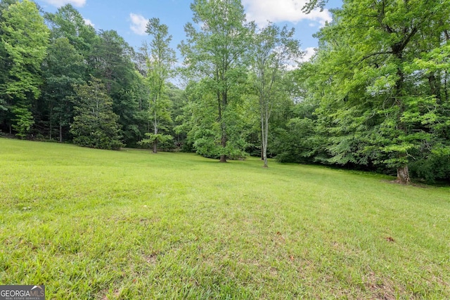 966 Wahoo Creek Rd, Murrayville, GA 30564 - view of yard with a wooded view
