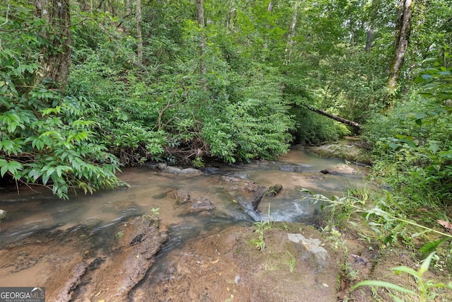 966 Wahoo Creek Rd, Murrayville, GA 30564 - view of nature with a wooded view