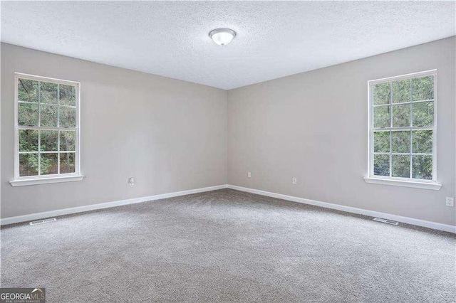 4872 Lewis Rd, Powder Springs, GA 30127 - carpeted empty room featuring baseboards, a wealth of natural light, a textured ceiling, and visible vents