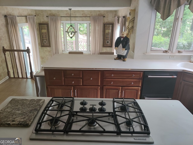 kitchen with a sink, stainless steel gas cooktop, dishwasher, and a wealth of natural light