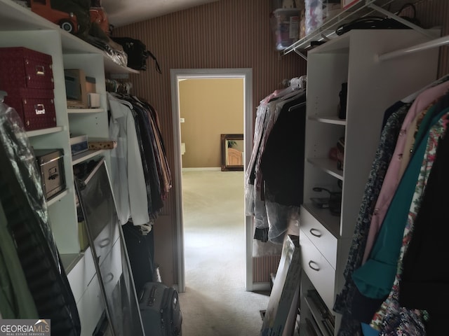 spacious closet featuring carpet floors