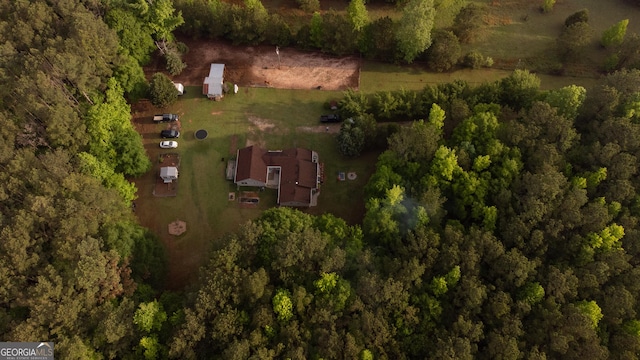 bird's eye view