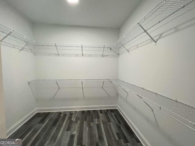 154 Pope Paul Path, Dallas, GA 30132 - spacious closet with wood finished floors