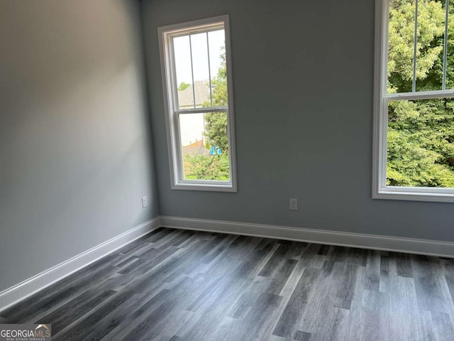 154 Pope Paul Path, Dallas, GA 30132 - empty room with baseboards, dark wood-style flooring, and plenty of natural light