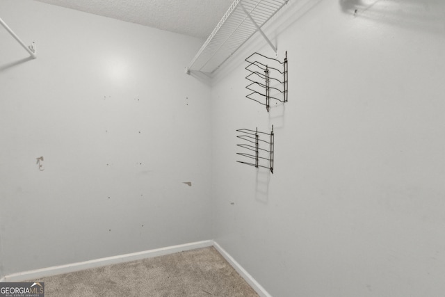 spacious closet featuring light colored carpet