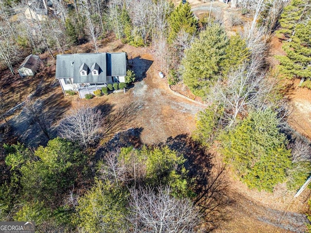 220 Yellowbird Trl Unit 40, Blue Ridge, GA 30513 - aerial view