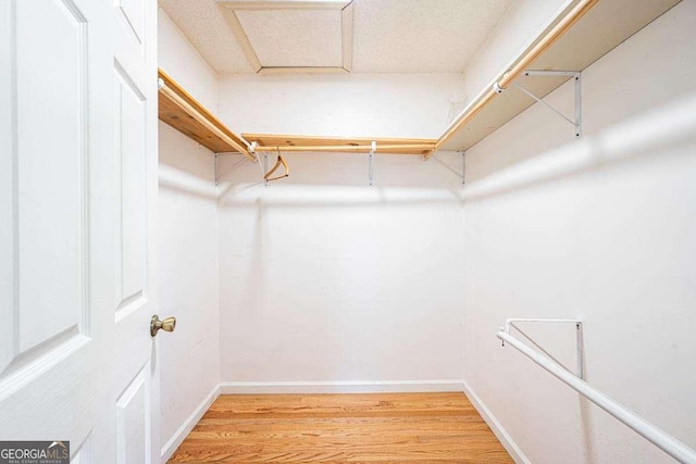 220 Yellowbird Trl Unit 40, Blue Ridge, GA 30513 - spacious closet with light wood-style flooring