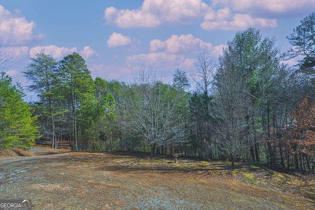 220 Yellowbird Trl Unit 40, Blue Ridge, GA 30513 - view of local wilderness with a view of trees