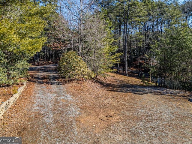 220 Yellowbird Trl Unit 40, Blue Ridge, GA 30513 - view of street with a forest view