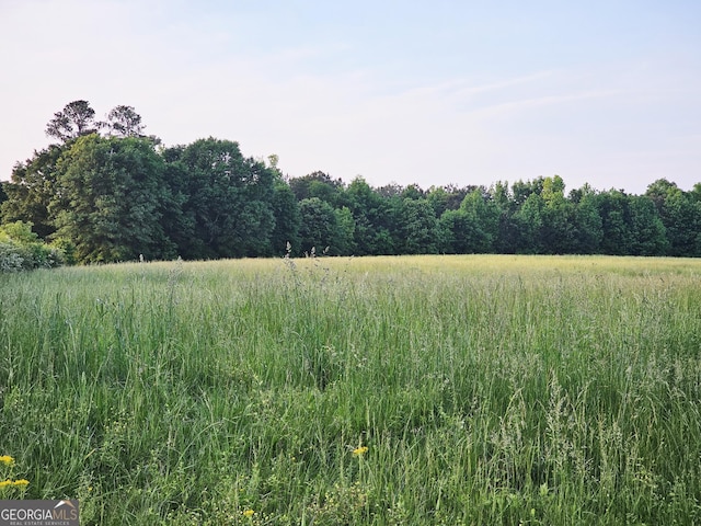 0 Welcome Rd Unit 3, Roopville, GA 30170