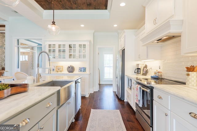 kitchen with a tray ceiling, custom exhaust hood, stainless steel appliances, and a wealth of natural light