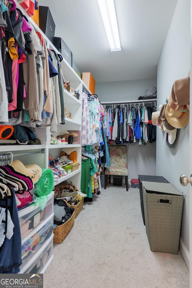 walk in closet featuring carpet flooring