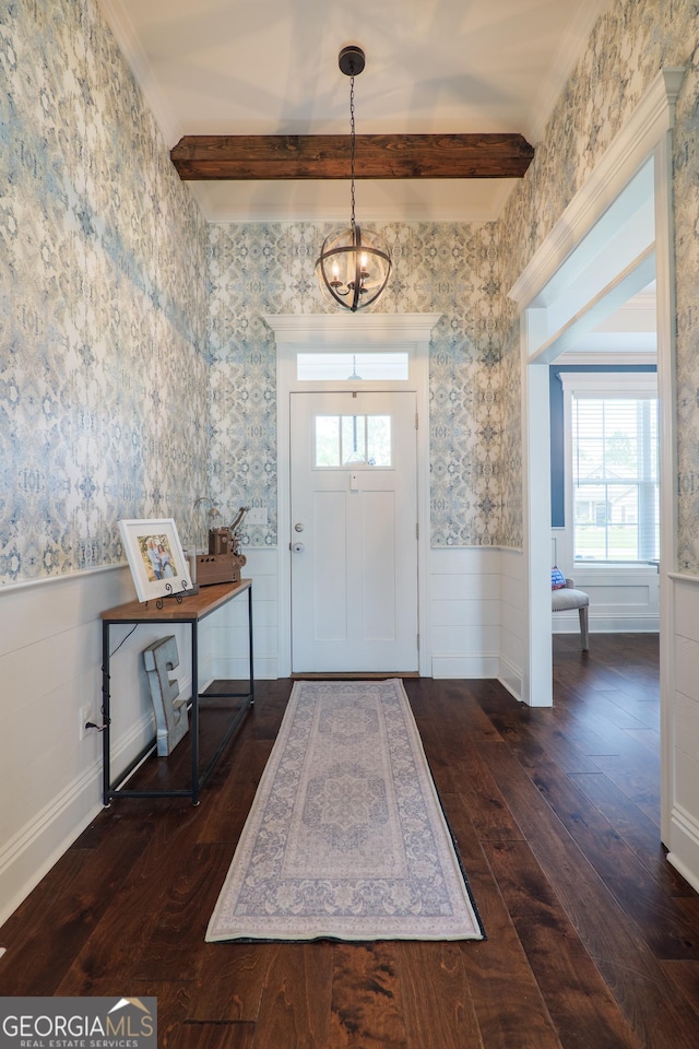 foyer entrance featuring beamed ceiling, dark wood-style floors, a healthy amount of sunlight, and a wainscoted wall