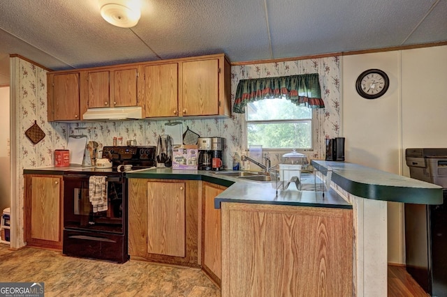kitchen featuring a sink, under cabinet range hood, black range with electric stovetop, and a textured ceiling