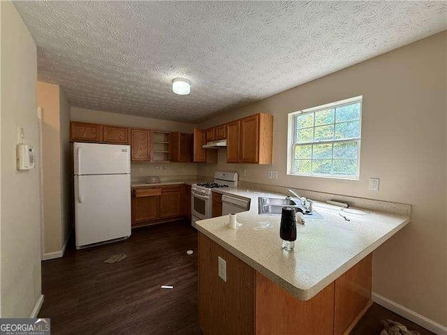 5280 Tussahaw Xing, Mcdonough, GA 30252 - kitchen featuring a peninsula, white appliances, light countertops, under cabinet range hood, and a sink