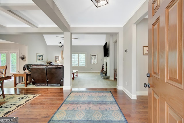 entryway with baseboards, ornamental molding, a wealth of natural light, and wood finished floors