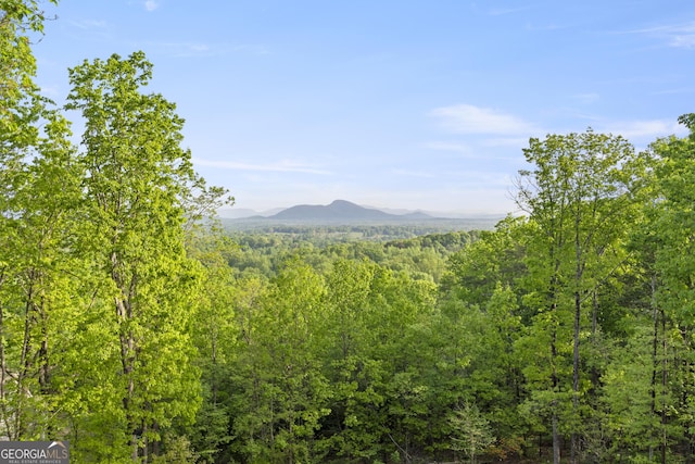 mountain view with a view of trees