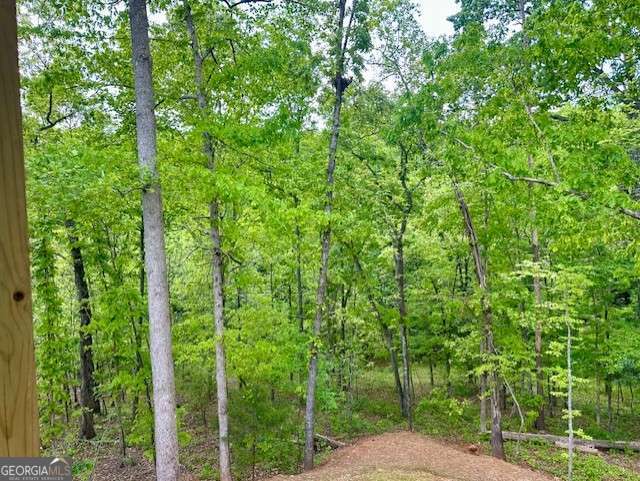 view of local wilderness with a forest view