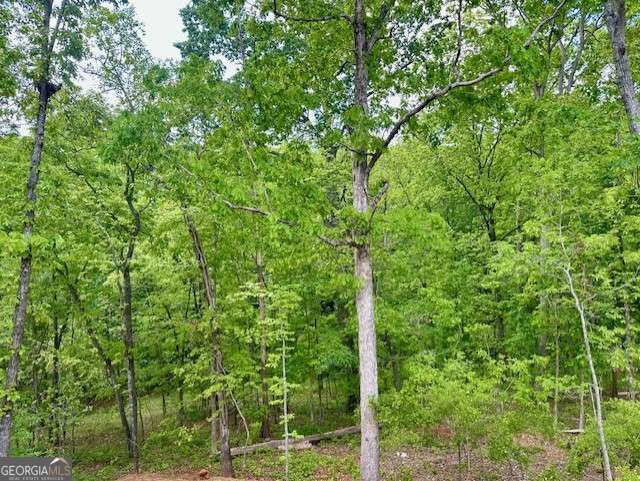 view of local wilderness with a wooded view