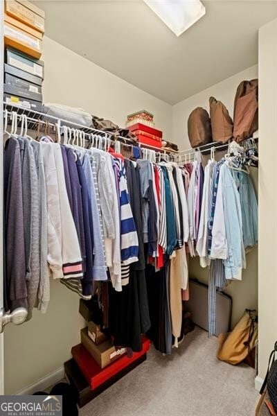 441 Mountain View Ln, Woodstock, GA 30188 - walk in closet with carpet