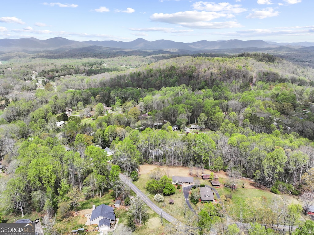 276 Camp Glisson Rd, Dahlonega, GA 30533 - drone / aerial view with a view of trees and a mountain view