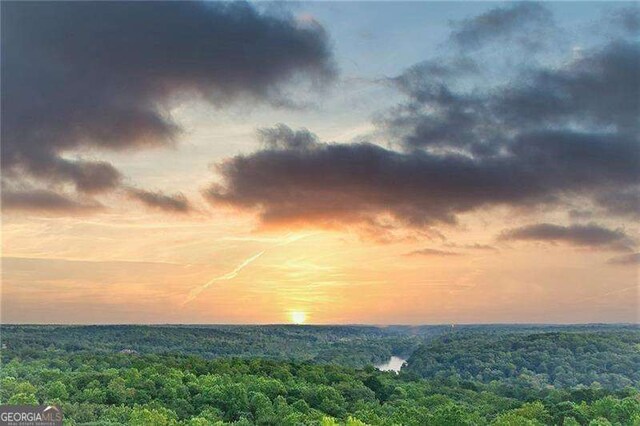 3300 Windy Ridge Parkway SE Unit 1401, Atlanta, GA 30339 - view of nature with a forest view