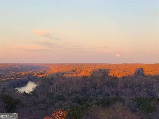3300 Windy Ridge Parkway SE Unit 1401, Atlanta, GA 30339 - exterior space with a wooded view