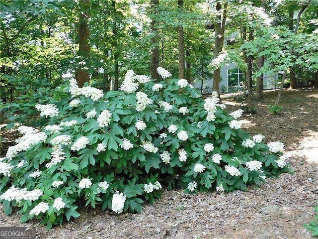 3300 Windy Ridge Parkway SE Unit 1401, Atlanta, GA 30339 - view of nature