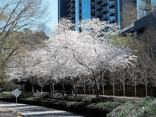 3300 Windy Ridge Parkway SE Unit 1401, Atlanta, GA 30339 - exterior space