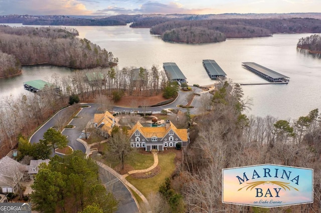 drone / aerial view featuring a water view and a forest view