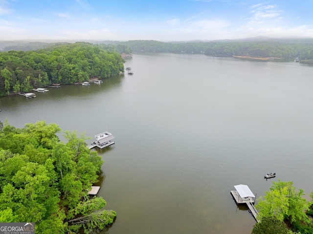 drone / aerial view with a view of trees and a water view