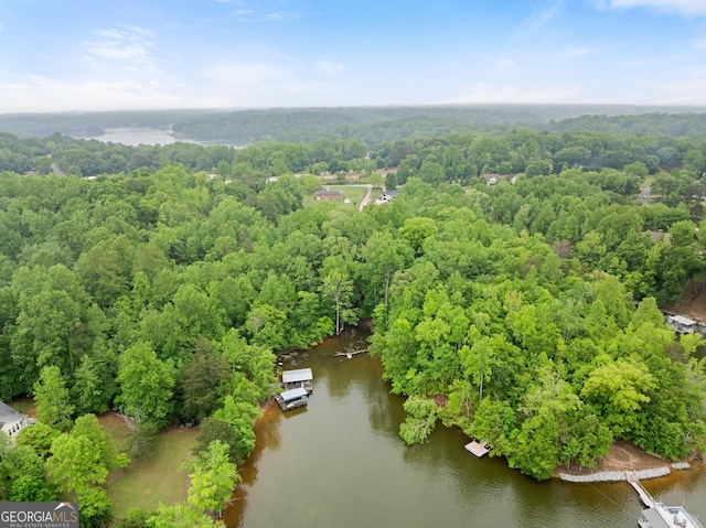 aerial view featuring a water view and a wooded view
