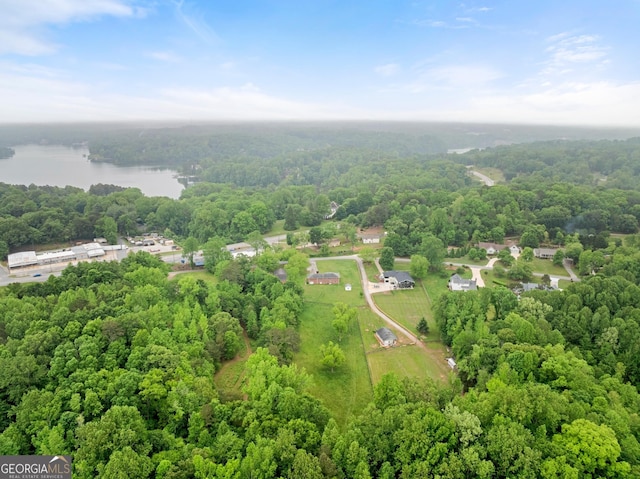 aerial view with a water view and a view of trees