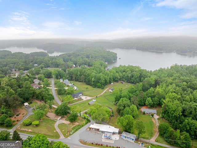 bird's eye view featuring a water view and a forest view