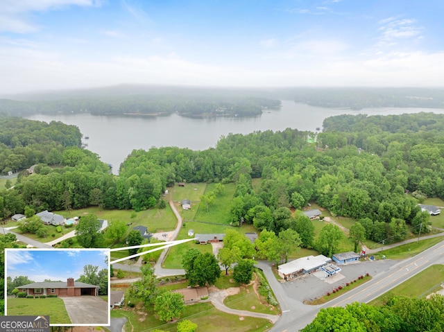 birds eye view of property featuring a water view and a forest view