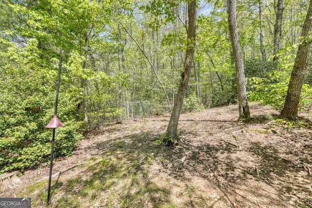 view of local wilderness with a view of trees