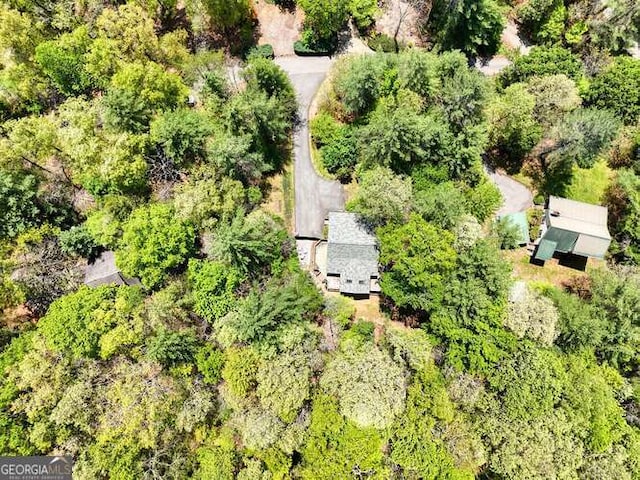 aerial view