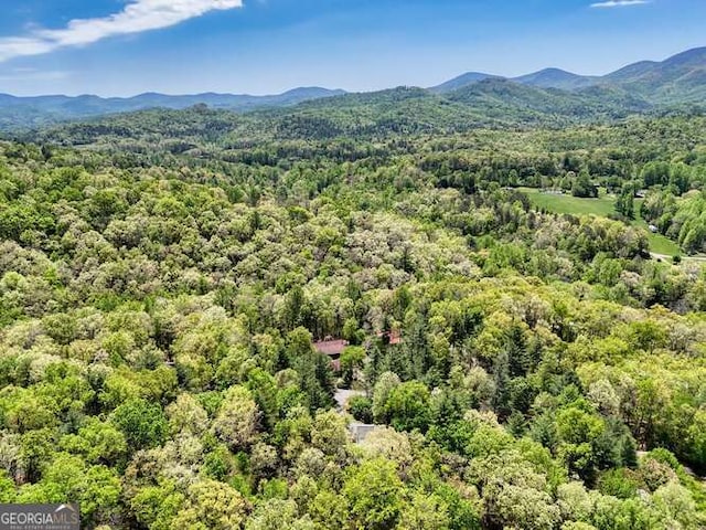 aerial view with a mountain view and a wooded view