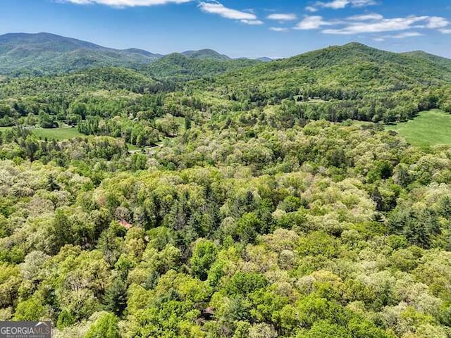property view of mountains with a forest view
