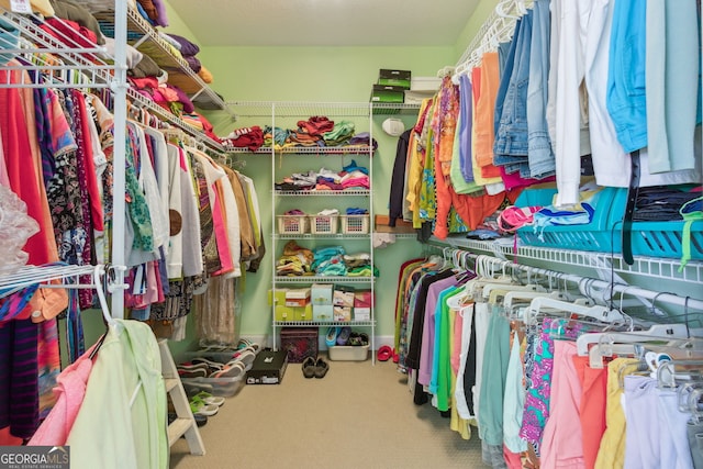 spacious closet with carpet