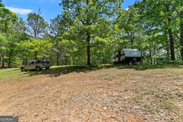 115 Rabbit Run, Dawsonville, GA 30534 - view of yard