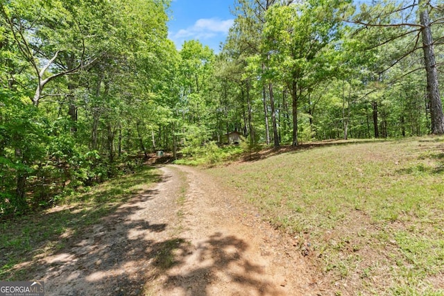 115 Rabbit Run, Dawsonville, GA 30534 - view of road featuring a wooded view