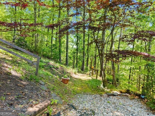115 Rabbit Run, Dawsonville, GA 30534 - view of landscape with a view of trees
